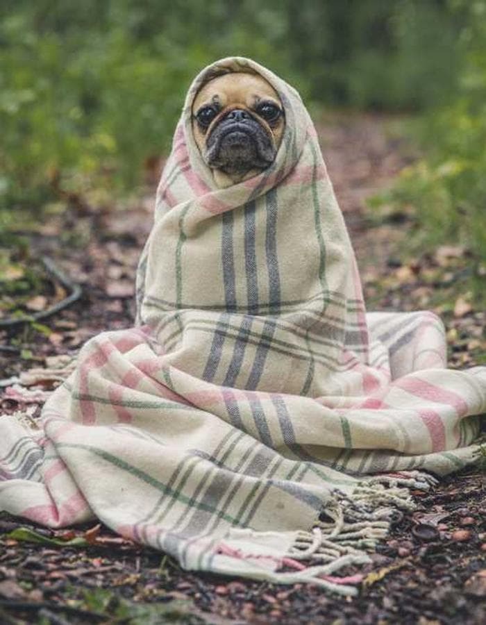 Photographer adjusting lens