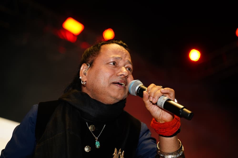 Audience silhouetted against stage lights at a concert